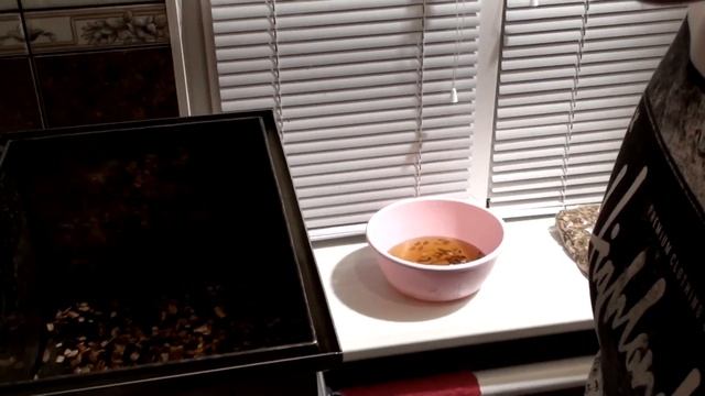 Поваренная книга