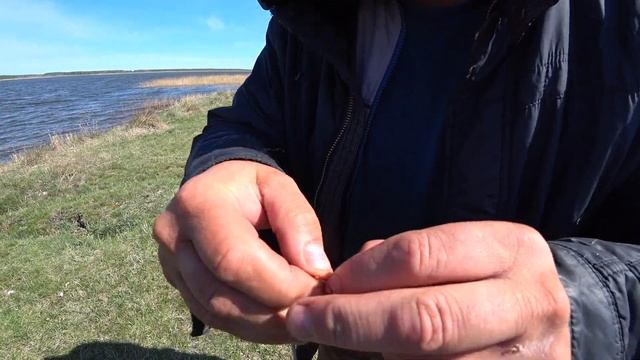 Снасть для карася Рыбалка озеро Горькое Тюменцево Алтай май 2021 день 2-ой смотреть онлайн