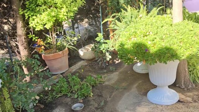 ситуация радикально ИЗМЕНИЛАСЬ/ нам НУЖНа помощь. смотреть онлайн