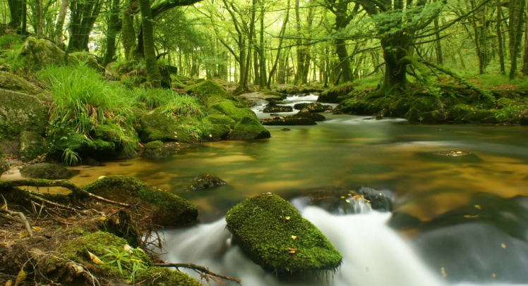 Звуки воды для сна. Расслабляющие волшебные звуки ✦ Успокаивающие Звуки ✦ Relax Sleep смотреть онлайн
