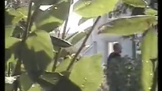 Плакат на день рождения.avi смотреть онлайн