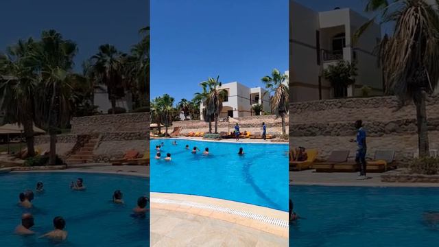 АНИМАТОРЫ УЖЕ НЕ ТЕ. ШАРМ ЭЛЬ ШЕЙХ. ЕГИПЕТ смотреть онлайн