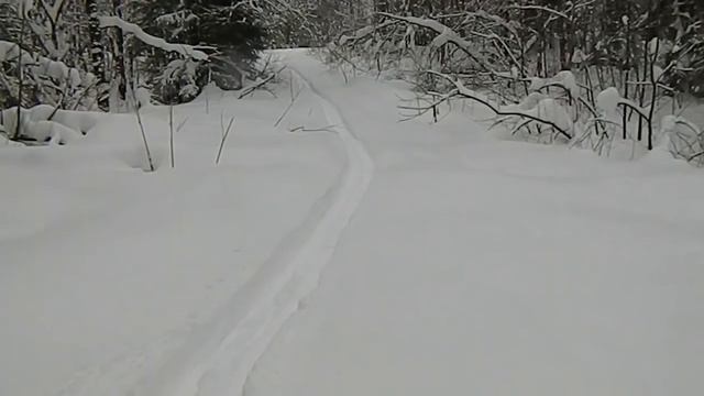ВЛАДИМИР МИХАЙЛОВ ОХОТА НА КУНИЦУ смотреть онлайн