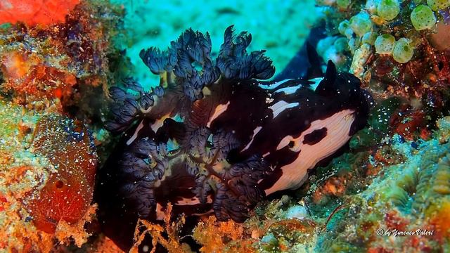 АНИЛАО ФИЛИППИНЫ 2018 смотреть онлайн