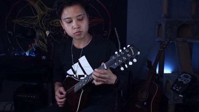 Tourdion - Mandolin Cover [French Renaissance Song] смотреть онлайн