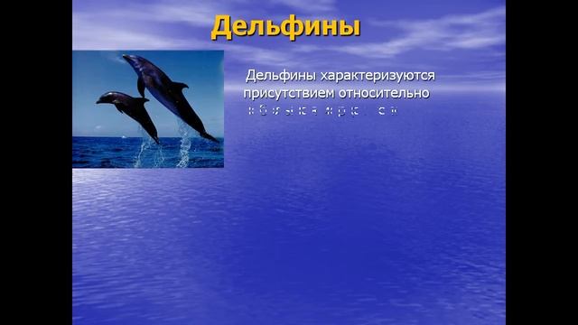 Животные и растения в мировом океане смотреть онлайн