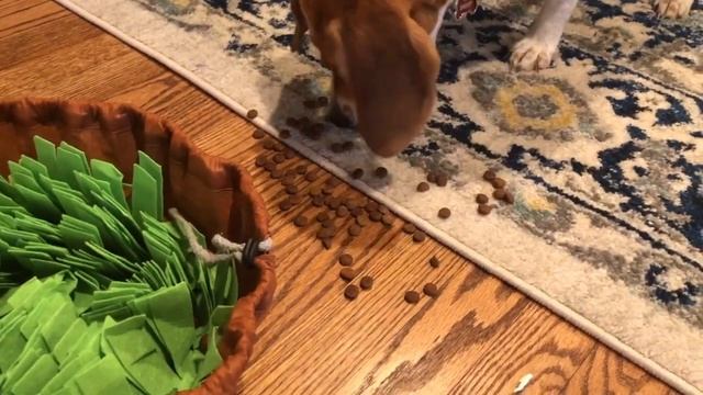 Snuffle Mat Games! смотреть онлайн