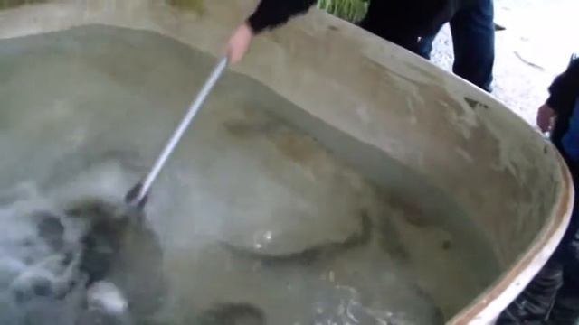 Рыбалка форели смотреть онлайн