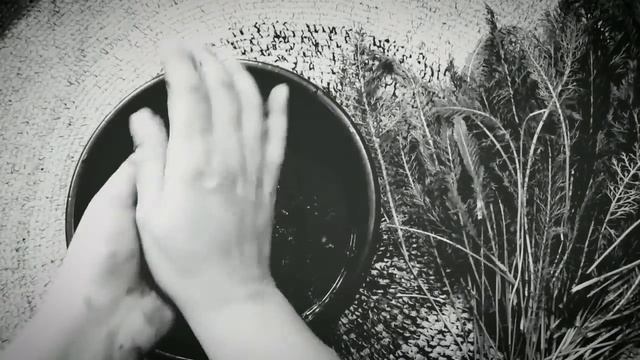 Неприлично простое средство от БЕЛОКРЫЛКИ смотреть онлайн