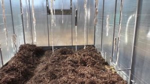 Теплица для винограда своими руками