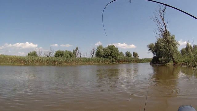 Летняя рыбалка.Жерех.Астраханская обл.с Житное .27 июня 2016 г.. смотреть онлайн