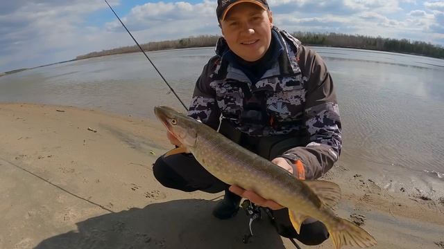 Спиннинг в мае! ЭТА РЫБА ДО СИХ ПОР КЛЮЁТ !? ..А НЕРЕСТ? Аномальная рыбалка 2023 смотреть онлайн