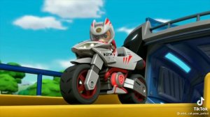 ЩЕНЯЧИЙ ПАТРУЛЬ ДИКИЙ КОТ.