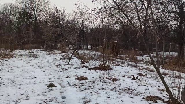 ФУНДУК БИЗНЕС 6 соток прокормит семью,если... смотреть онлайн