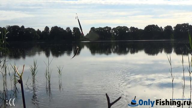 Теряево. Новая Рига. Отчет о рыбалке. смотреть онлайн