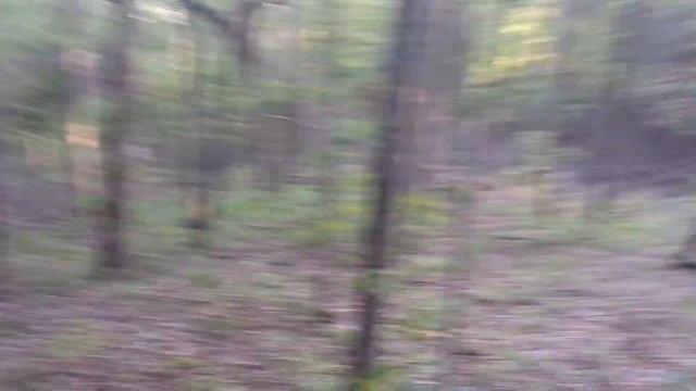 Suzuki Sidekick on trail then in woods hill 4x4 stuck between trees смотреть онлайн