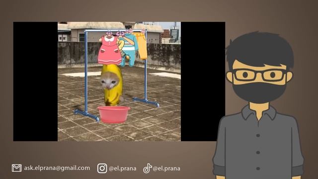 VIDEO LUCU HAPPY CAT & BANANA CAT, NGAKAK BANGET!! смотреть онлайн