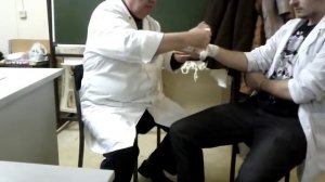 рыцарская перчатка
