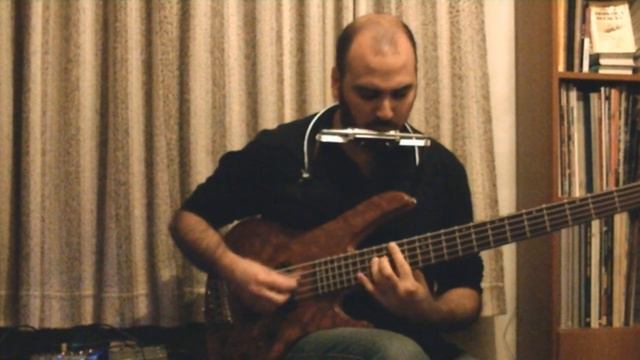 Rammstein - Seemann. Harmonica & Bass cover + tabs. смотреть онлайн