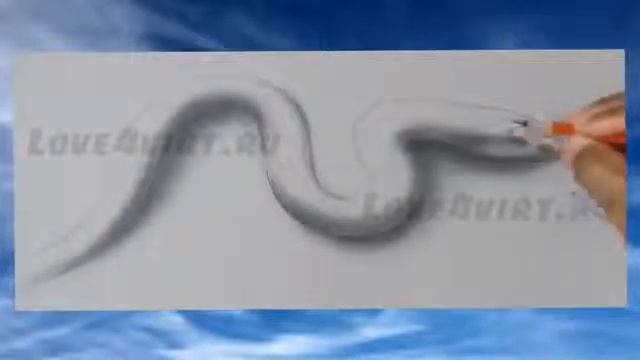 Как нарисовать змею Как рисовать 3d Оптическая иллюзия 1 смотреть онлайн