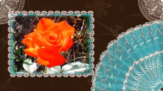 Проект №46 Мои розы смотреть онлайн