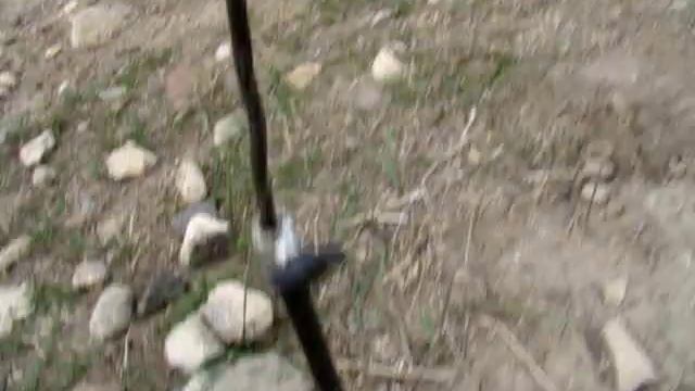 Приманка на голубя смотреть онлайн