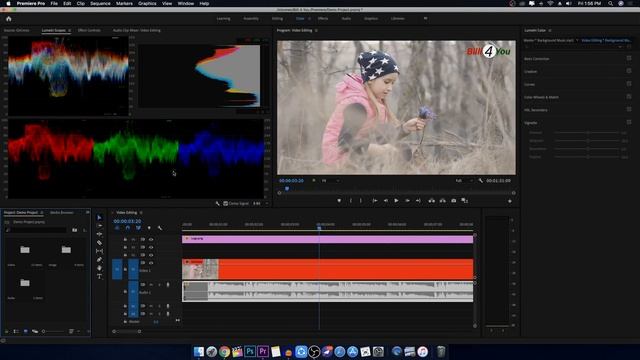 Adobe Premiere Pro Tutorial In Hindi | Full Tutorial for Beginners | 2024 смотреть онлайн