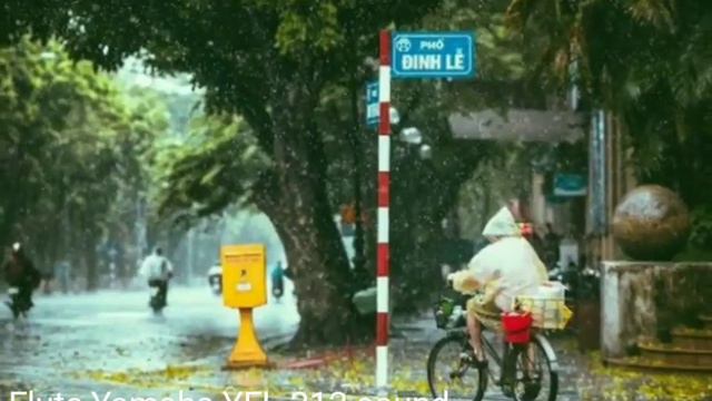 Flute Yamaha_YFL 212 смотреть онлайн