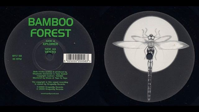 Bamboo Forest - Xplorer / Vekto смотреть онлайн