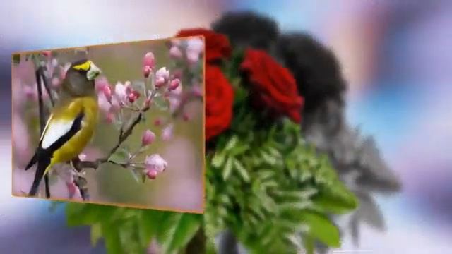 Вальс цветов смотреть онлайн