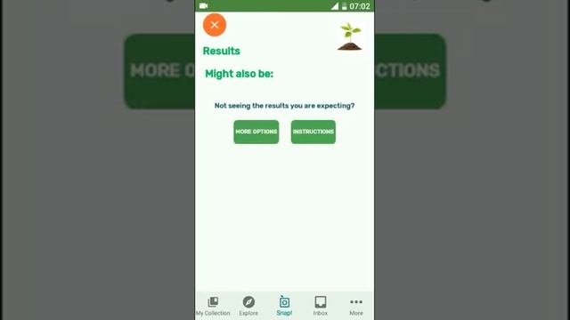 PlantSnap Identifies A Calamus (Acorus Calamus)