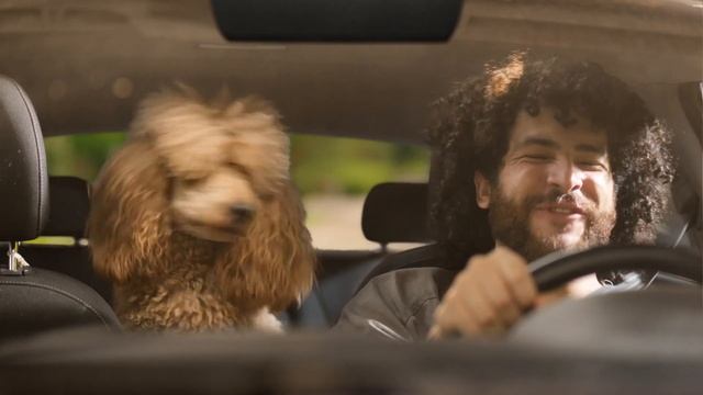 Get Relief From Your Pet Allergies With ZYRTEC® | ZYRTEC® смотреть онлайн