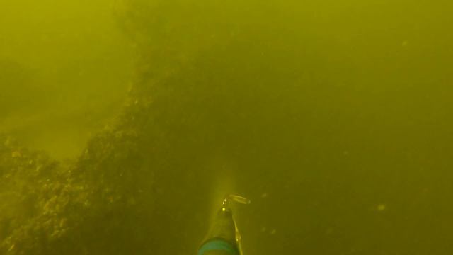 Охота на Амура на Волге в ЗАТОПЛЕННОМ КОРАБЛЕ, на русле и в корягах. Как я попал в сеть на течении. смотреть онлайн