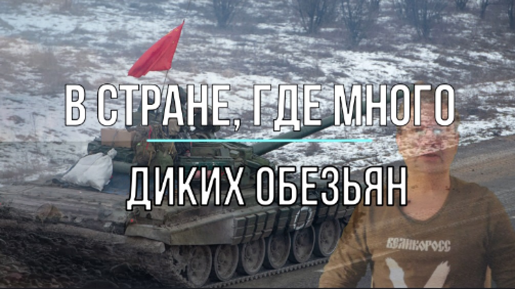 Там много диких обезьян