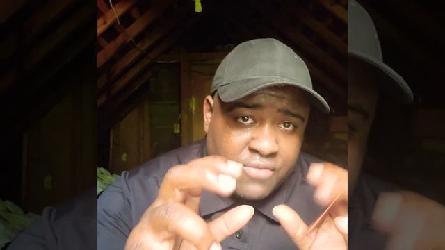ℹ️ S.M.F Video Blogs 005: - Deterioration Of Craft смотреть онлайн