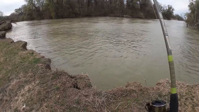 O noapte la cort pe canalu' 22 în Delta Dunării смотреть онлайн