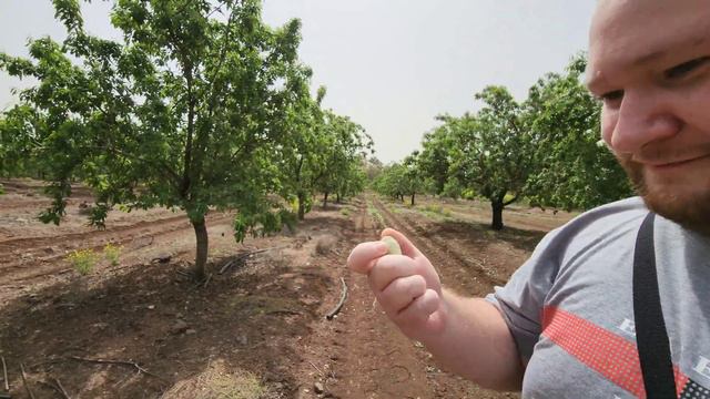 Часть 2. Мысли которые не дают мне уснуть на Природе Израиля. 4k Ultra Hd и 60 фпс смотреть онлайн