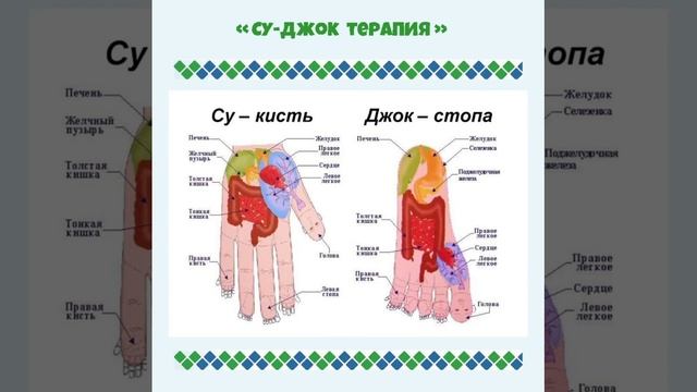 Су-Джок терапия смотреть онлайн