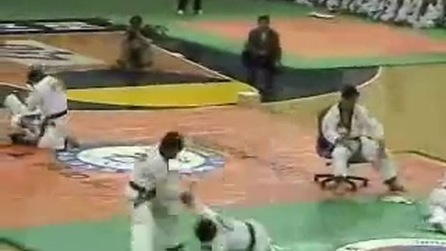 Korea Hapkido Central Demo Team