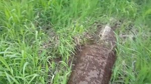 Ловля на кораблик. Кораблик в мае на жука.