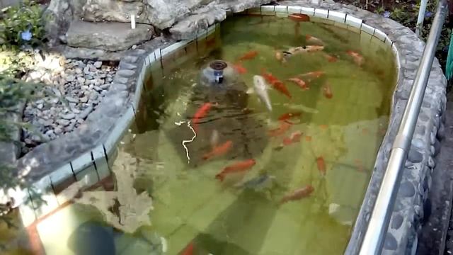 Рыбки в фонтане. Сверну на Виноградную! смотреть онлайн