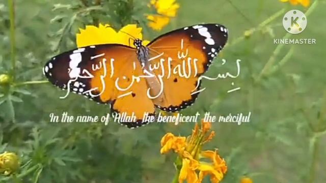 Best Quran surah for depression, Anxiety and stress/ Surah AD Duha#quran #islamic #viral #anxiety смотреть онлайн