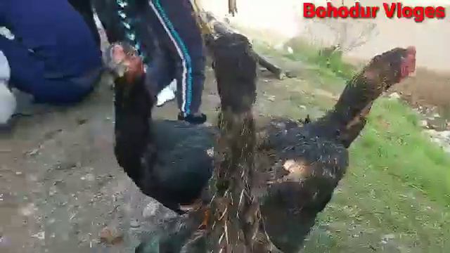 МУРГ БОЗОРИ ЛЕНСКИЙ РАЙОН ЧОРШАНБЕ БОЗОР 07.04.2021🐕