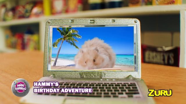 *NEW*5 Surprise Mini Brands! Will hammy get all new Mini Brands for his birthday? смотреть онлайн