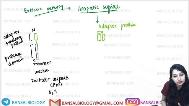 Apoptosis -Programmed Cell Death|Cell Death|Cancer Biology|Cell Biology|CSIRNET|GATE|IITJAM|DBT|ICM смотреть онлайн