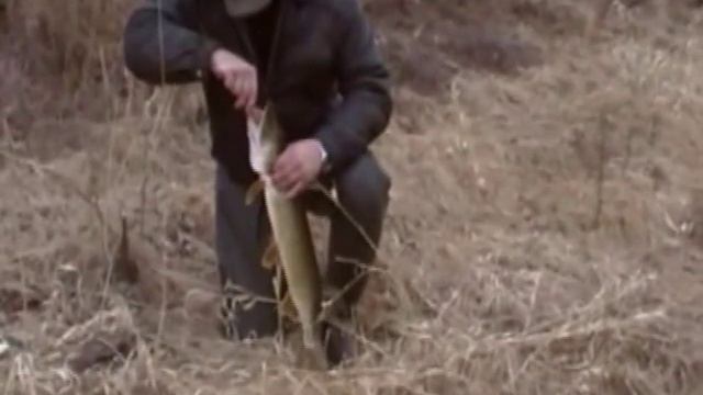 Ловля спиннингом в апреле.Fishing Spinning