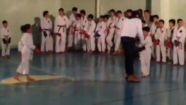 Аттестация на желтый пояс смотреть онлайн