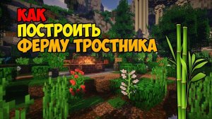 Как построить автоматическую ферму тростника в МАЙНКРАФТ?