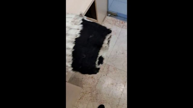 Новое поступление тканей! смотреть онлайн