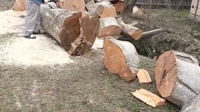 La tăiat de lemne cu drujba Ruris Dac 505S смотреть онлайн